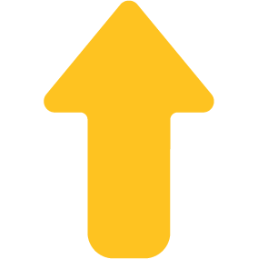 uitgaven